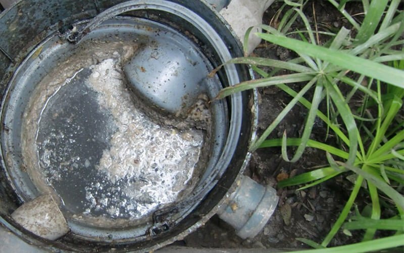 limpeza de caixa de gordura